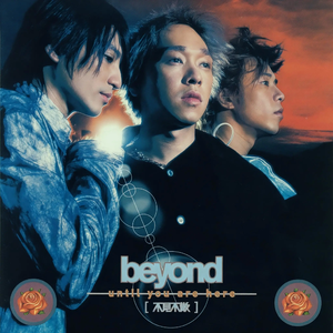 AV作品在线观看
