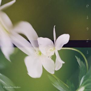 AV作品在线观看
